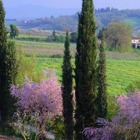 Ginestra Apartment Poggibonsi Bagian luar foto