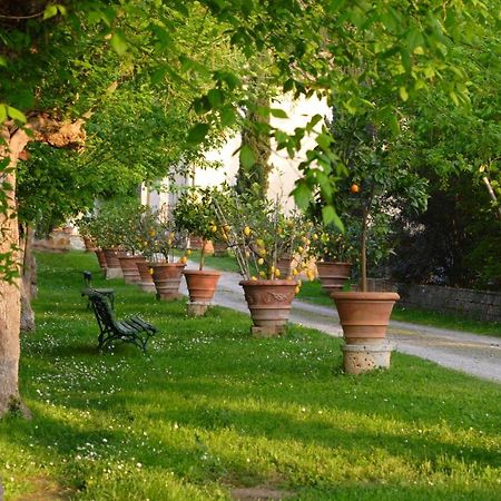 Ginestra Apartment Poggibonsi Bagian luar foto