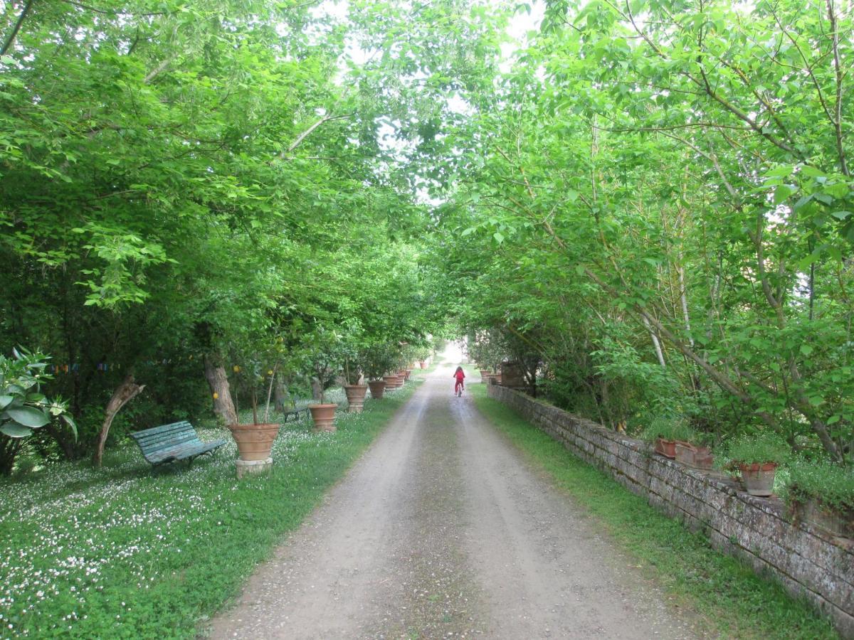 Ginestra Apartment Poggibonsi Bagian luar foto