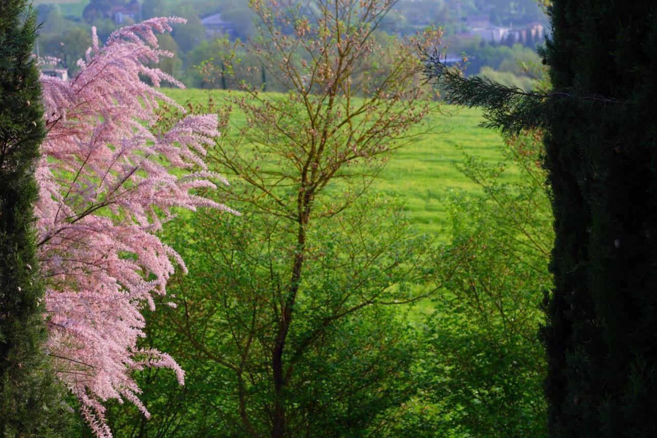 Ginestra Apartment Poggibonsi Bagian luar foto