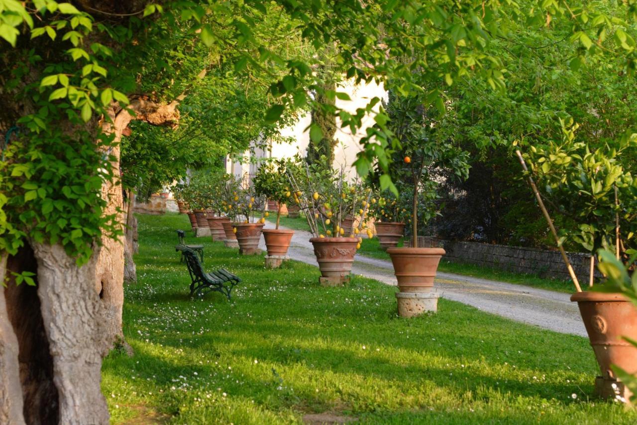 Ginestra Apartment Poggibonsi Bagian luar foto