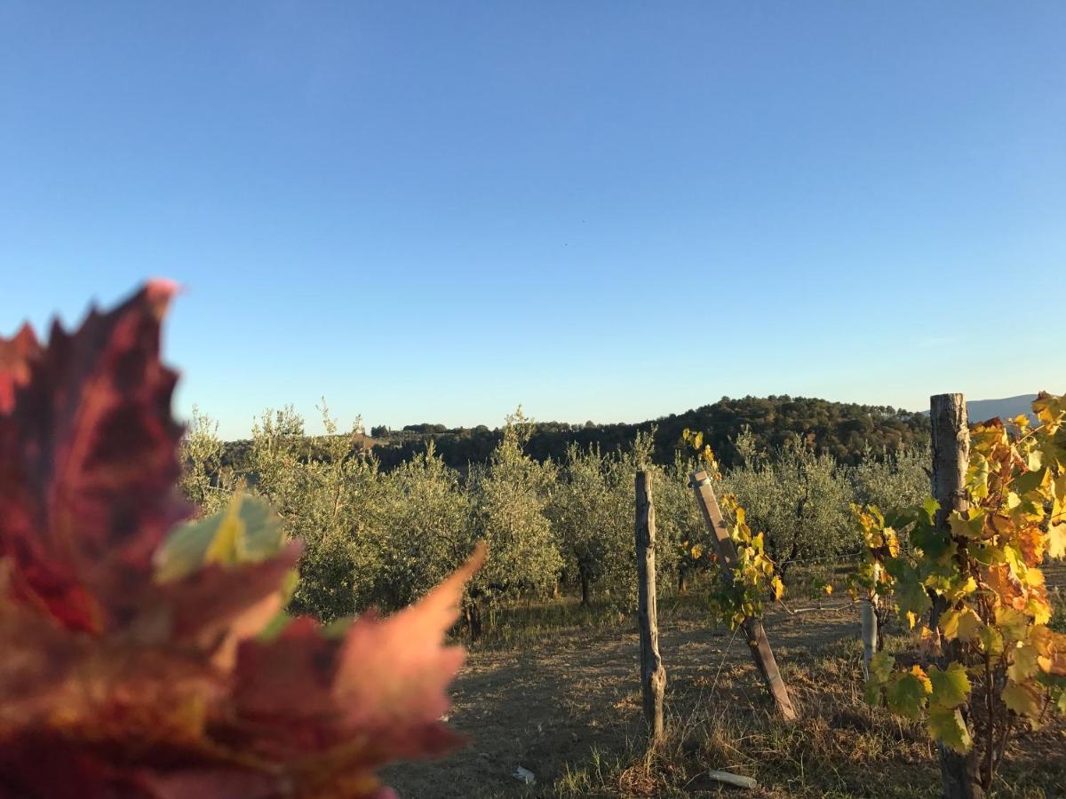 Ginestra Apartment Poggibonsi Bagian luar foto