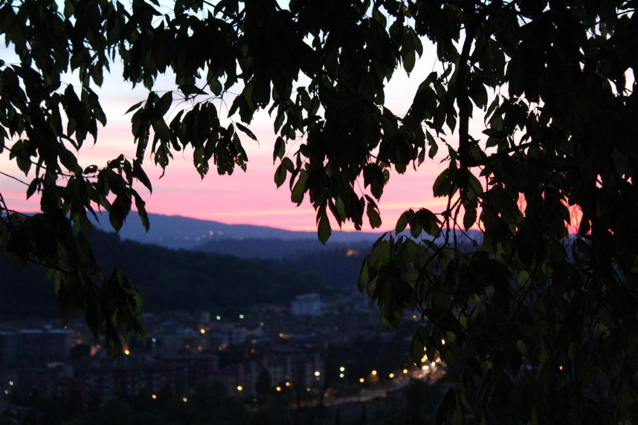 Ginestra Apartment Poggibonsi Bagian luar foto