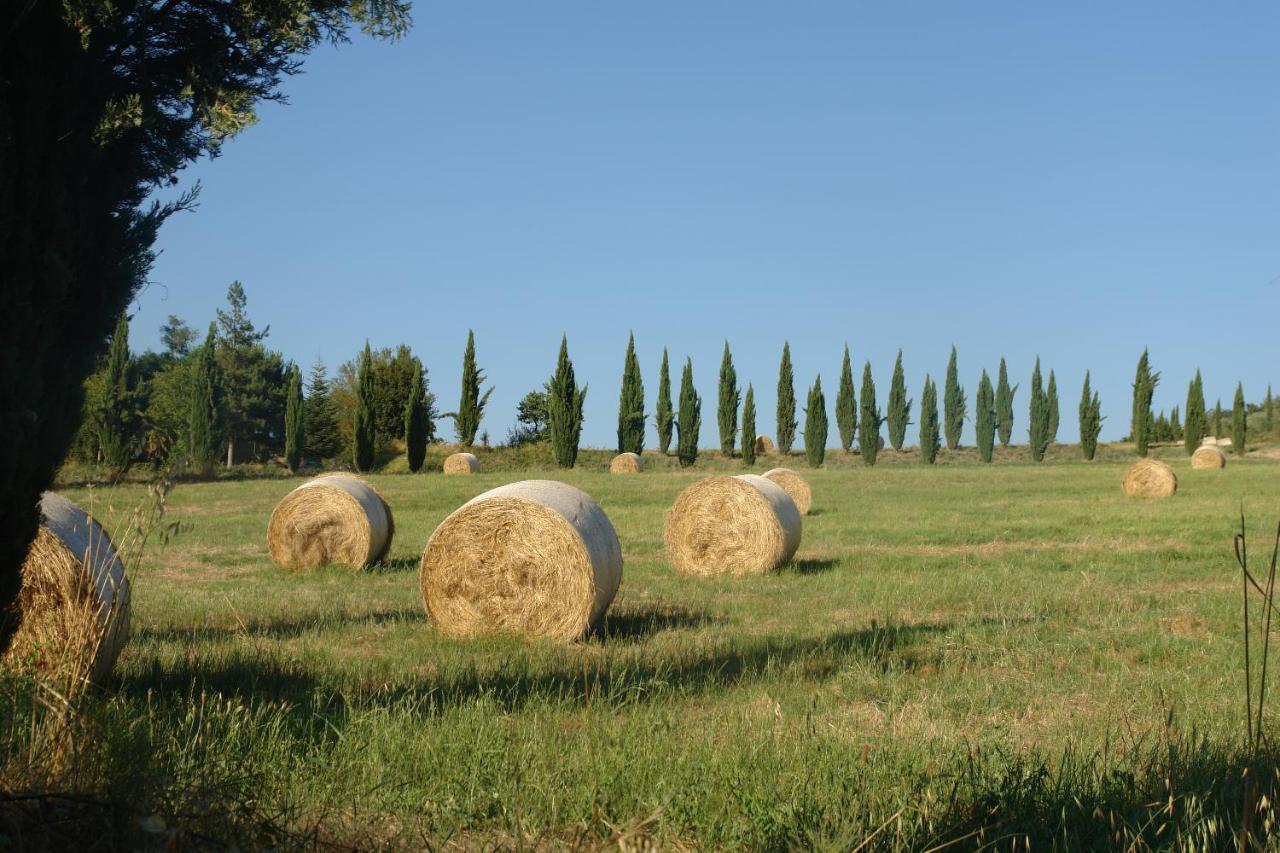 Ginestra Apartment Poggibonsi Bagian luar foto